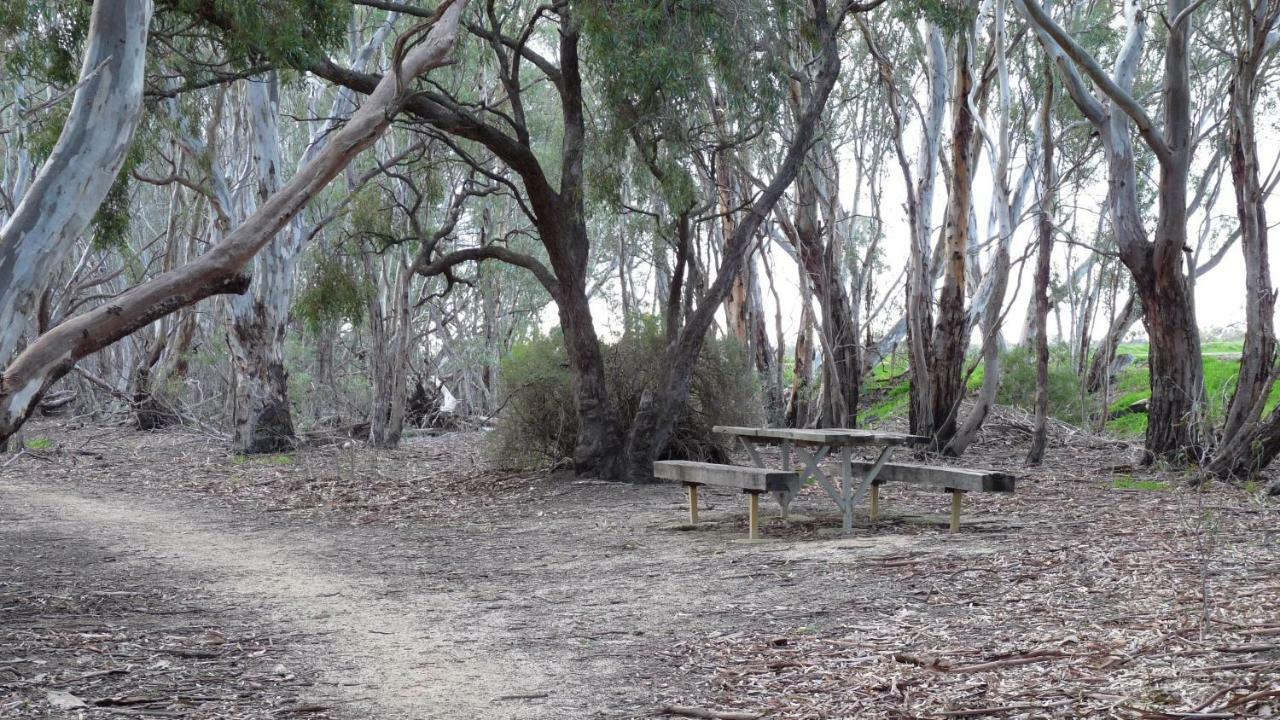 Loddon River Motel Kerang Экстерьер фото